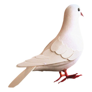 Simulación Pigeon Modelo De Imitación Pigeon Estatua En Simulación Pigeon Modelo De Imitación Pigeon Estatua En