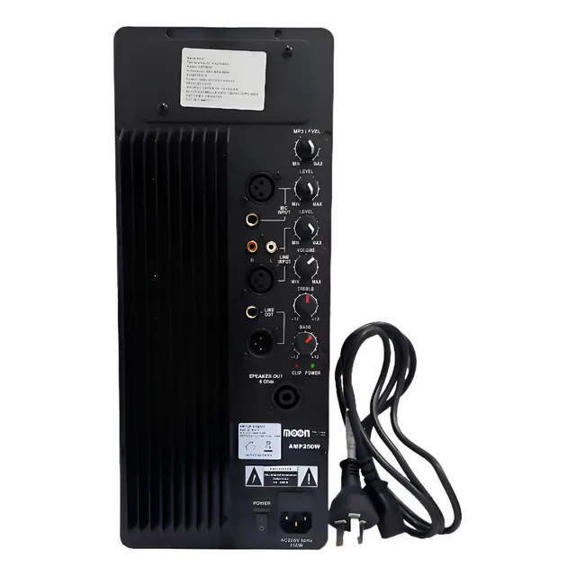 Modulo De Potencia Para Bafle Amp250w Wild15a