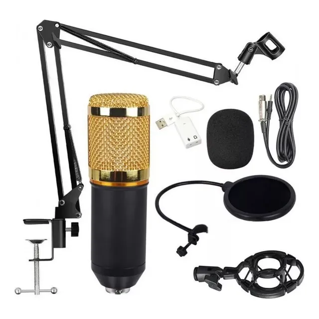Kit Micrófono Condensador / Estudio Podcast Youtuber  Bm 800