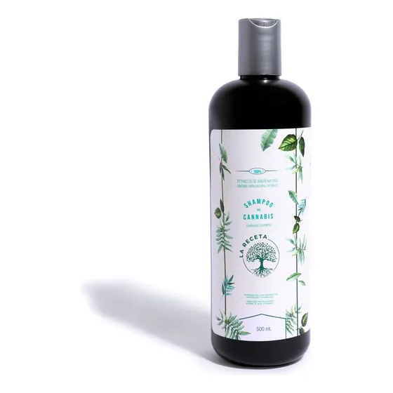Shampoo De Argán Para Cabello Seco La Receta 500 Ml