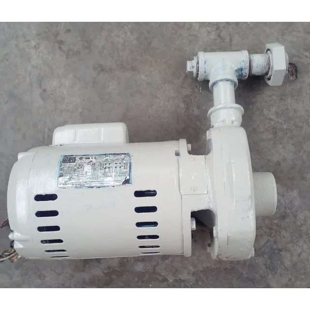 Bomba De Agua Marca  Weg  Original 110 V Y 220 V
