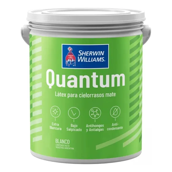 Pintura Cielorraso Antihongo Anticondensante 20l Sherwin W.