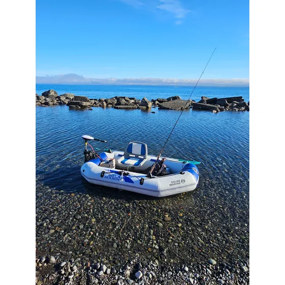 Bote Inflable Con Motor Eléctrico