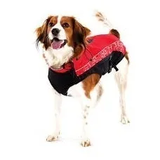 Impermeable Perros Marca Rogz 28 Cms Largo