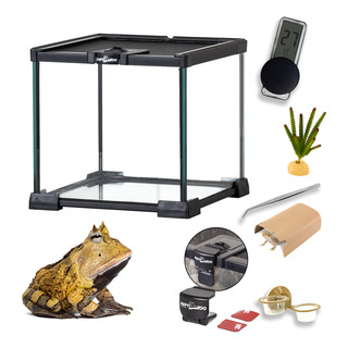 Ke Woow Kit Terrario Reptiles Equipado Chico Acuario Insecto Ke Woow Kit Terrario Reptiles Equipado Chico Acuario Insecto