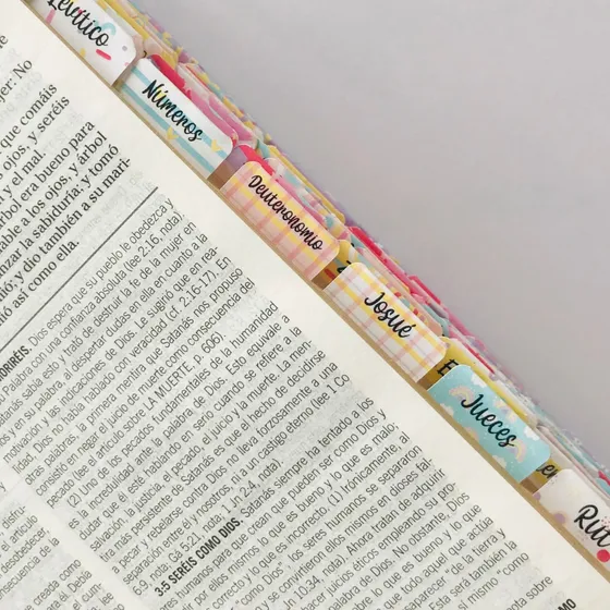 Tabs Pestañas Autoadhesivas Para Biblias Evangelica