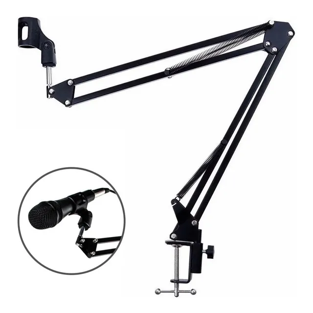 Soporte Para Microfono Gadnic Brazo Estudio Condenser Pro