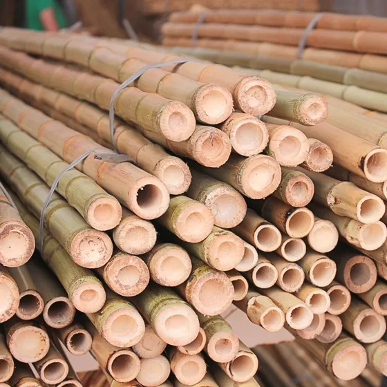 Bambu Sapecado 50cm  Kit Com 6 Unidades Naturais Decoração