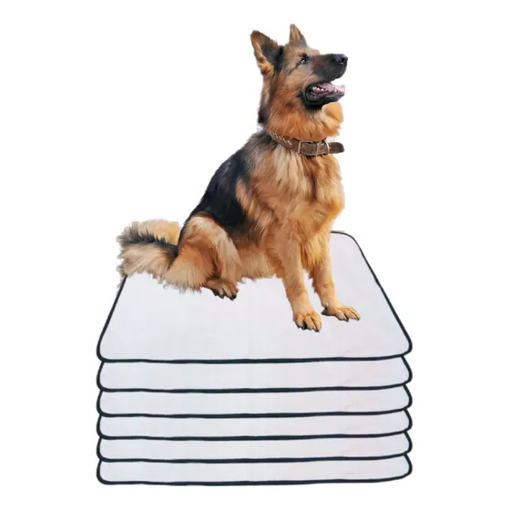 6 Tapetes Internos Lavável Para Cães - Casa Sem Xixi  80x60