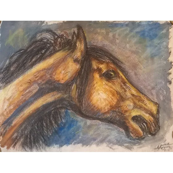 Pesce Victorio Dibujo Pastel Cabeza Caballo