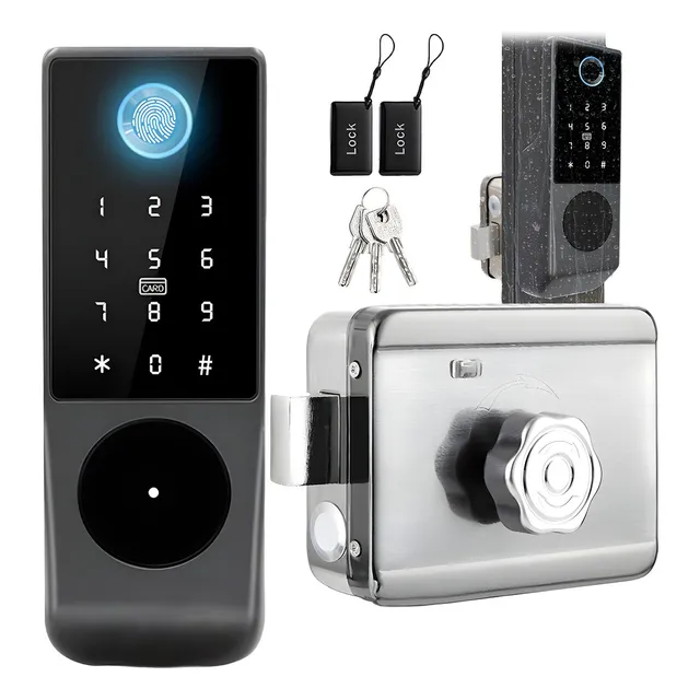 Chapa Cerradura Inteligente Electrónica Exterior Impermeable Wodoso