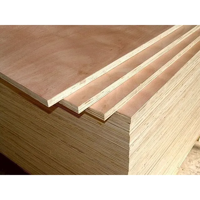 Chapon Compensado Fenolico 12mm 1,22 X 2,44 Mejor Precio 