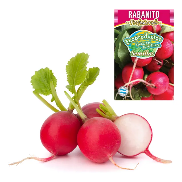 Semillas Rabanito Huerta Cultivo Ecoproductos Ct