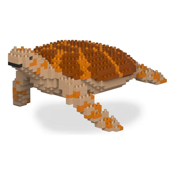 Jekca Tortuga Marina 01s-m02