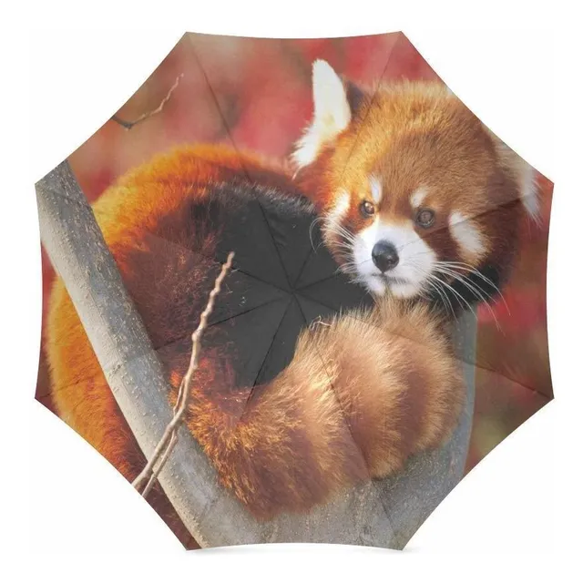 Paragua Plegable Personalizado Lindo Panda Rojo Compacto
