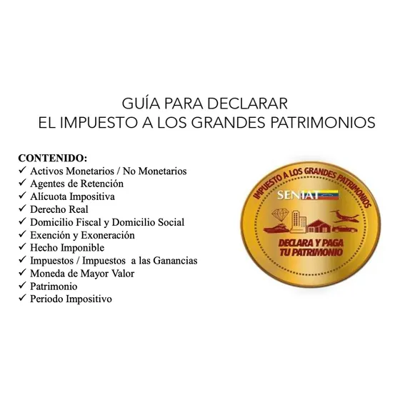Guía De Impuesto A Los Grandes Patrimonios 2024
