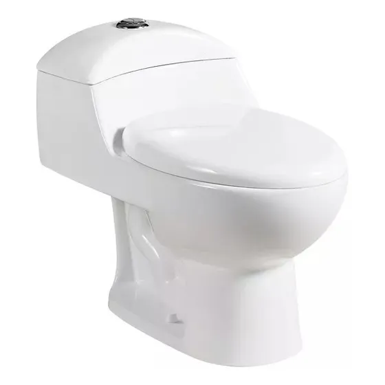 Wc Sanitario Aqua One Piece