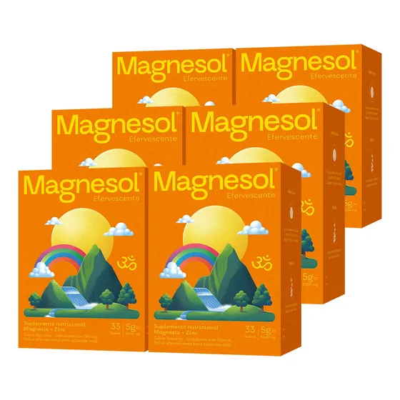6pack Magnesol Naranja X 33 Sobres