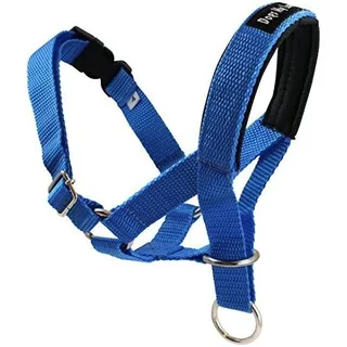 Collar Principal Perro Halter Tamaños 5 Azules (m: 8.25 -10 Collar Principal Perro Halter Tamaños 5 Azules (m: 8.25 -10