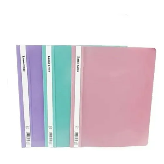 Carpeta Tapa Transparente A4 Presentacion Color Pastel X12