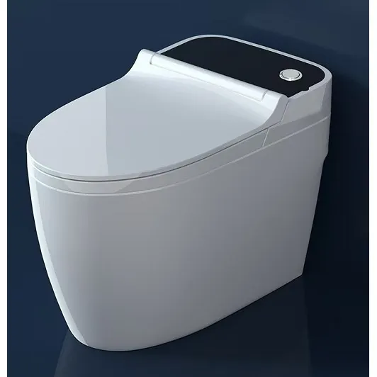 Inodoro Loza One Piece Largo Deposito Asiento Smart Toilet 