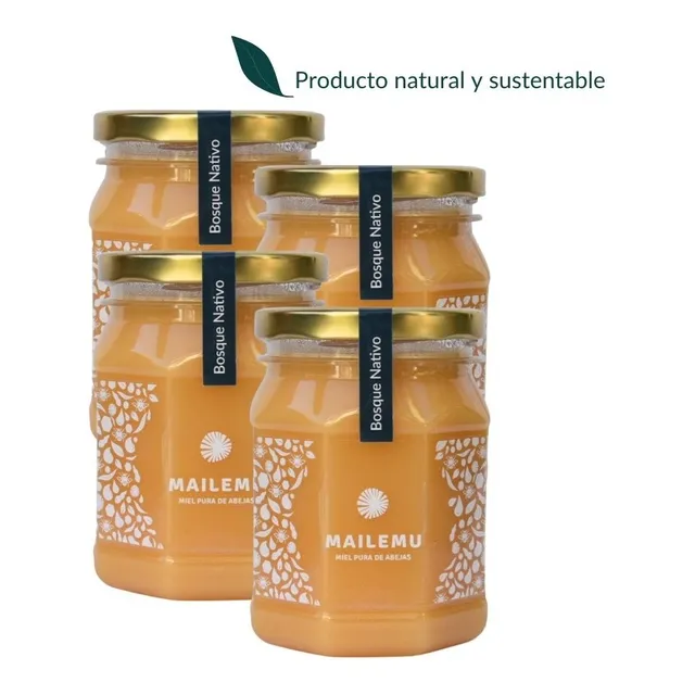Pack 4 Un. Miel Pura Abejas Bosque Nativo 500g. Sur - Chile