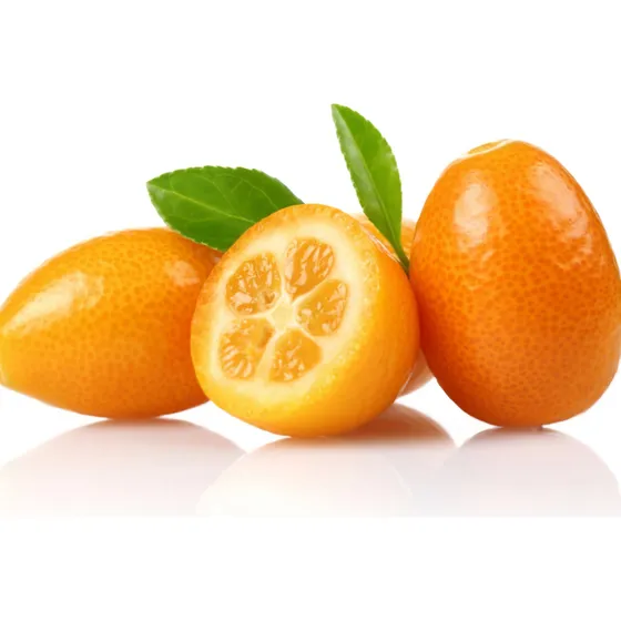Quinoto Arbol Kumquat Nagami