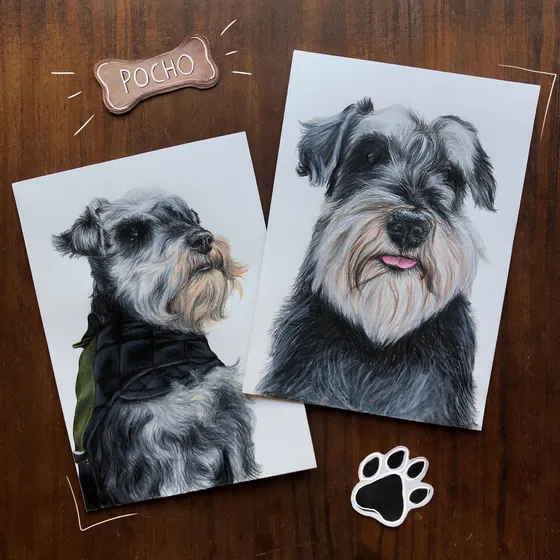 Retrato Dibujo Mascota