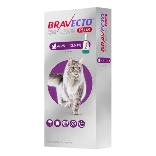 Bravecto Autentico Y Apropiado Para Gatos De 6.25-12.5kg