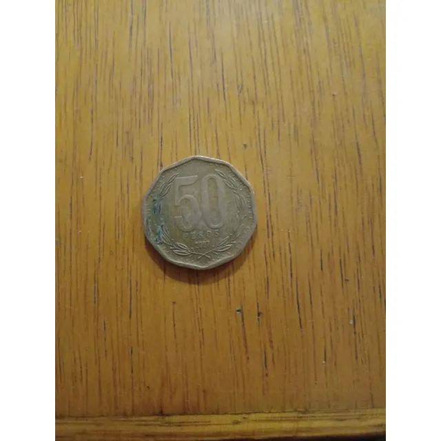 Moneda De 50 Pesos Chilenos Año 2007