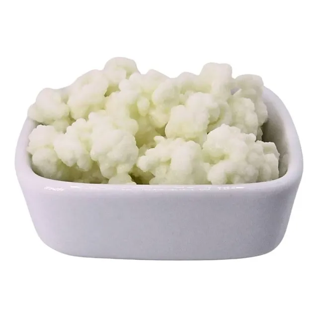 Kéfir De Leche / Búlgaro De Leche / Nódulos + Tríptico Guía