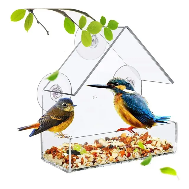Comedero Transparente Para Pájaros De Ventana Con Ventosa M®