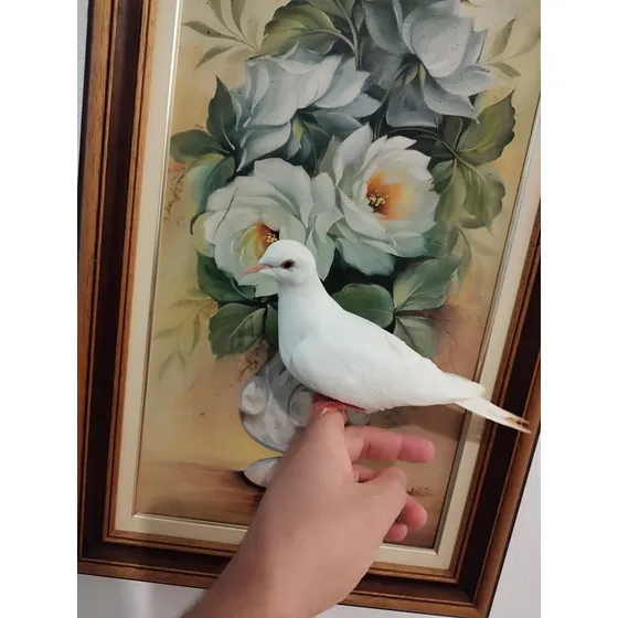 Filhotes De Pombas Burguesas Mansinhas.entregamos Em Todas