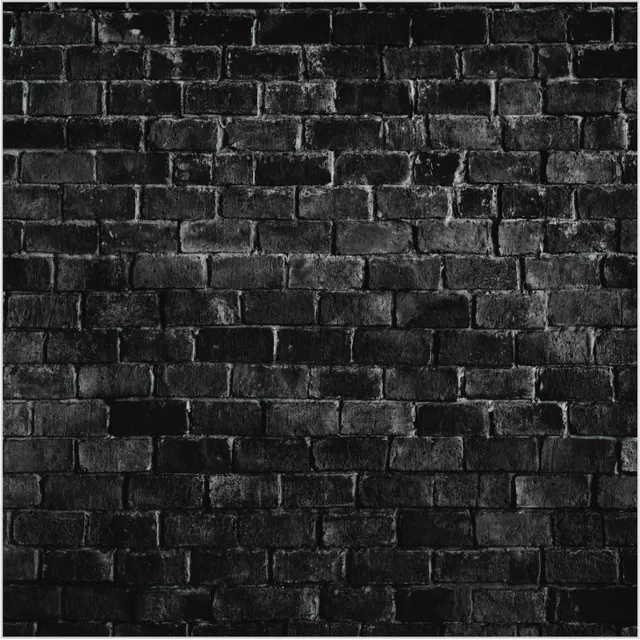 Fondos Fotografía Lona Mate Fotos Productos 100x200 Cm