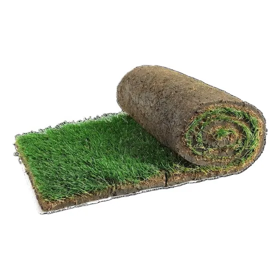 Pasto Alfombra Cesped Natural Desde 10 Metros Cuadrados