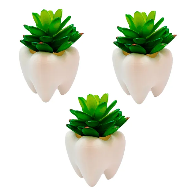 Vaso Dente Dentista Suculenta Odontologia Odonto Kit Com 3