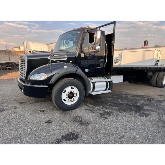 Torton Freightliner M2 2017 Plataforma