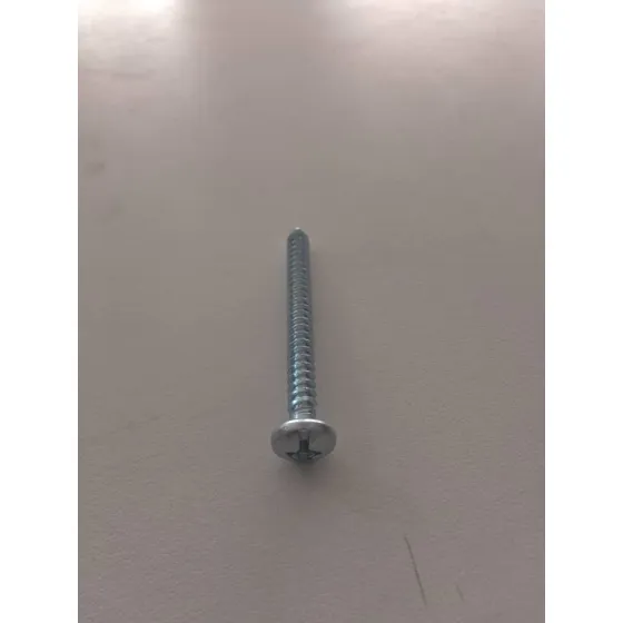 Tornillo Autoroscante Cabeza Pan 10x2 