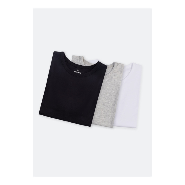 Kit Com 3 Camisetas Masculinas Básicas Hering Kit Com 3 Camisetas Masculinas Básicas Hering