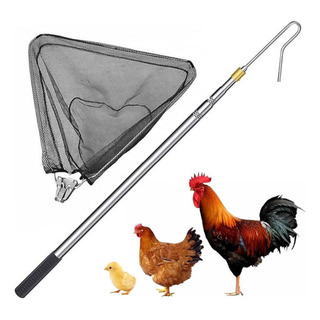 Set 2 En 1 De Anzuelo Y Red Retráctil Para Muslos De Pollo Set 2 En 1 De Anzuelo Y Red Retráctil Para Muslos De Pollo