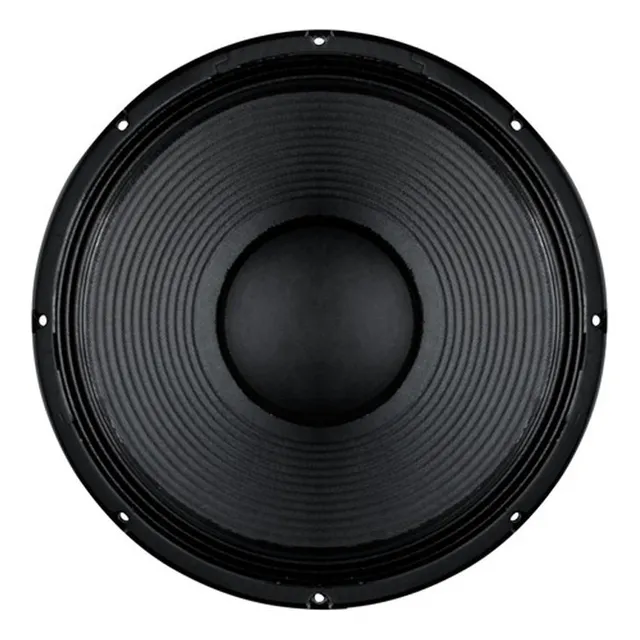 Parlante 10  150w Rms Ampro Negro