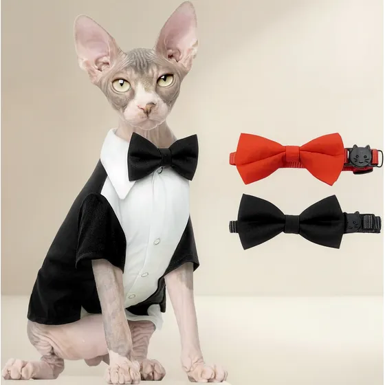 Traje Esmoquin Gatos Sin Pelo, Incluye Corbatín, Tamaño Univ