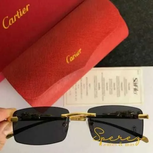 Lentes Estilo Panterita 
