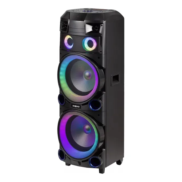 Torre De Sonido 2 X 12 Pulgadas 800 Watts Pmpo