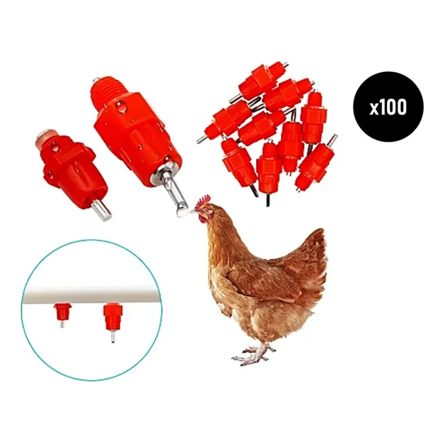 Bebedero Pollos Aves Gallinas
