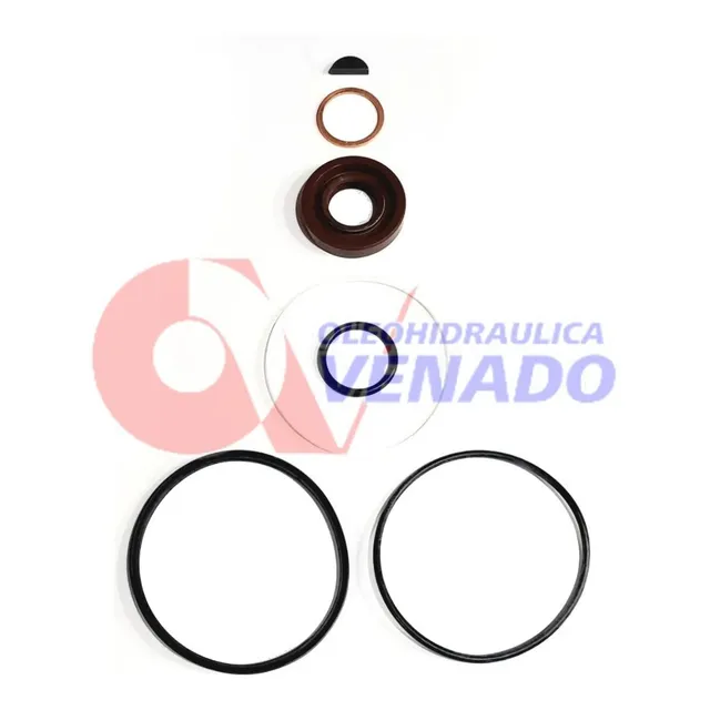 Kit Rep Bomba Hidraulica Fiat Iveco Cummins