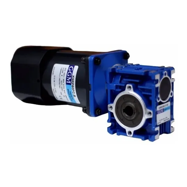 Motor Y Reductor Monofasico De 180w Corona Sin Fin