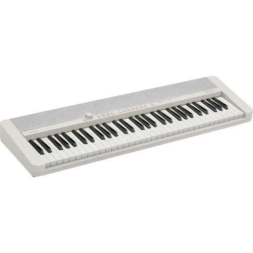Casio Ct-s1 61-key Touch-sensitive Portable Keyboard