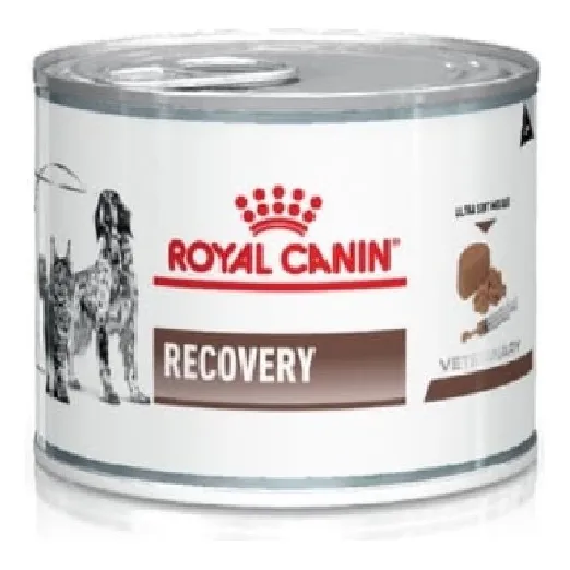 Royal Canin Lata Recovery Canino Y Felino 145gr