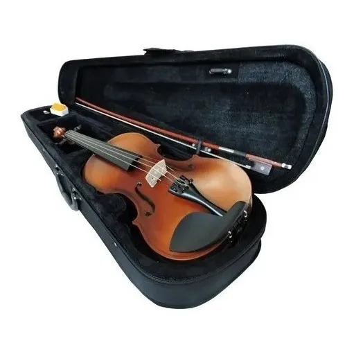 Violino Scarlett Envelhecido Fosco 4/4 Estudante Completo Cor Natural fosco